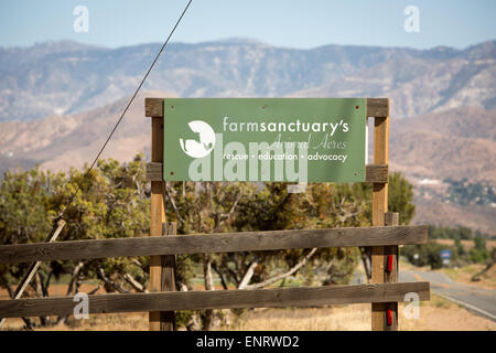 Farm Sanctuary in Acton, Kalifornien. Ein Bauernhof Tierschutzorganisation mit Heiligtümern in New York und Kalifornien. Stockfoto