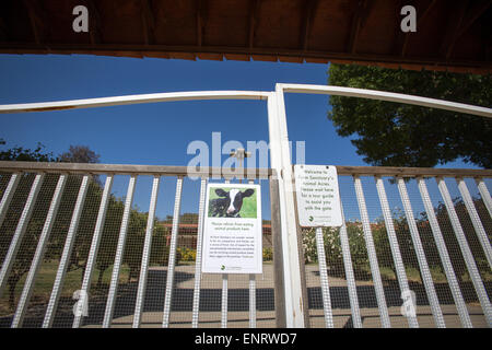 Farm Sanctuary in Acton, Kalifornien. Ein Bauernhof Tierschutzorganisation mit Heiligtümern in New York und Kalifornien. Stockfoto