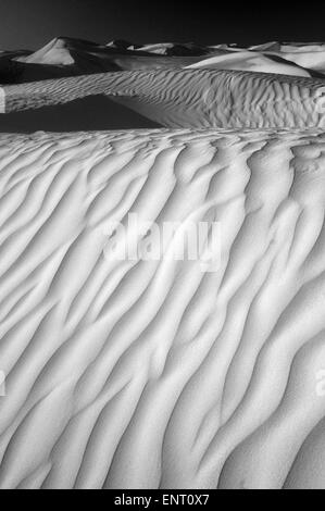 Weiße Sanddünen, geformt von Wind in der Nähe von der Küste des Indischen Ozeans, Nambung National Park, Western Australia (B&W) Stockfoto