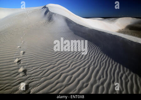 Fußabdrücke im Vorfeld Wind geformten Sanddüne, Nambung National Park, Western Australia Stockfoto