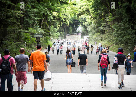 Meiji-Jingu Schrein, Shibuya-Ku, Tokyo, Japan Stockfoto