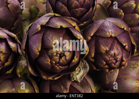 Haufen von lila Artischocken kochbereit Stockfoto