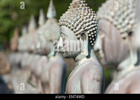 Buddha-Statuen in Seema Malaka Meditationszentrum, Colombo, Sri Lanka Stockfoto