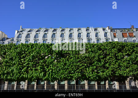 Jardin des Tuileries, Rue de Rivoli, 1. Arrondissement, Paris, Frankreich Stockfoto