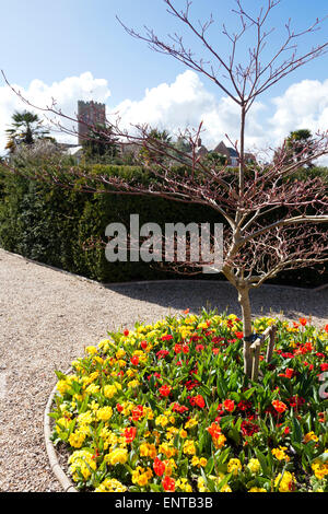 Frühling in den ummauerten Gärten von Cannington, Somerset UK Stockfoto