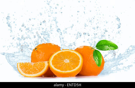 Orangen mit Wasser spritzt auf weißem Hintergrund Stockfoto