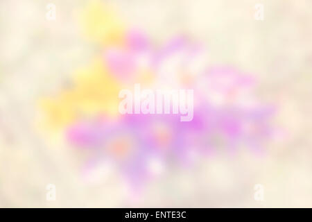 Natur, die abstrakten Hintergrund unscharf Blumen. Stockfoto