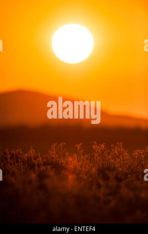 Sonnenuntergang mit rotem Himmel über den Galloway Hills, Großbritannien Stockfoto