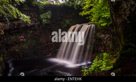 Dalcairney Falls Wasserfall, Ayrshire, Schottland, UK Stockfoto