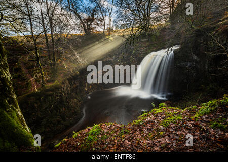 Dalcairney Wasserfall, Ayrshire, Schottland, UK Stockfoto