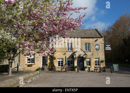 Trainer und Pferde am Straßenrand Pub mit rosa Blüte, Ganborough, Cotswolds, Gloucestershire, England, Vereinigtes Königreich, Europa Stockfoto