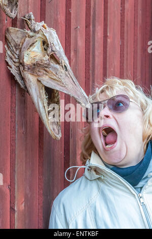 Heades der Hechte auf roten Holzzaun Stockfoto