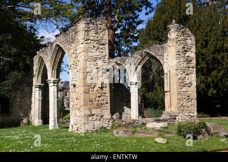 Trendell der Torheit im Klostergarten, Abingdon-on-Thames, Oxfordshire, England, Vereinigtes Königreich, Europa Stockfoto