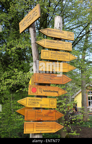 Anzeichen für Wanderungen im Nationalpark Hainich, Deutschlands. Stockfoto