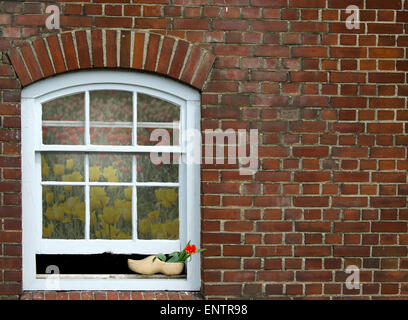 Rote Tulpe im holländischen Holzschuh auf einem Fensterbrett ein Ziegelhaus. Stockfoto