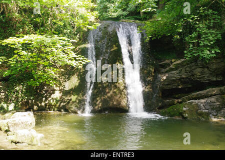 Wasserfall im Frühling Malham Yorkshire Dales, Janets FossWasserfälle Yorkshire Dales, Janets Foss Laub, Wasserfälle, in, natürliche Beleuchtung, ungefiltert Stockfoto