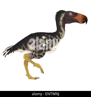 Die Kelenken "Terror Bird" von Argentinien war ein flugunfähiger Fleischfresser, der in der Zeit des Miozän lebte. Stockfoto