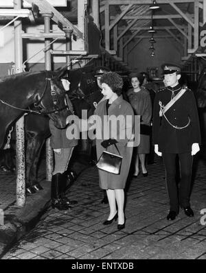 Die Königin des Königs Troop Royal Horse Artillery im St Johns Wood zu besuchen. 15. November 1962. Stockfoto