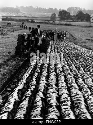 Eine Frau hat noch ein weiteres Feld der männlichen Vorherrschaft eingebrochen. Ein Acker. Es ist am Alderbury, in der Nähe von Shrewsbury, Szene der nationalen Pflügen Meisterschaften, wo 180 des Landes Top Ackermänner Kampfes für eine Chance, Großbritannien in die 16. Welt Pflügen vertreten in Jugoslawien der kommenden Saison austragen. 1. November 1968 Stockfoto