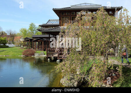 Weide Bäume und Pavillons im japanischen Garten (Japanischer Garten) in Bad Langensalza, Deutschland. Stockfoto