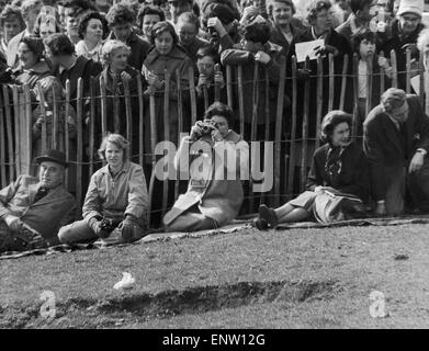 Ihre Majestät Königin Elizabeth II eine Aufnahme bei den Badminton Horse Trials. 13. April 1962 Stockfoto