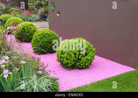 Kleiner moderner Schottergarten mit Buxus sempervirens - Box Kugeln topiary auf farbigen Kies Mulch Garten Frühling UK Malvern Show Stockfoto