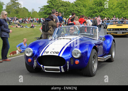 AC Cobra. Kastanie Sonntag, 10. Mai 2015. Bushy Park, Hampton Court, London Borough of Richmond, England, Großbritannien, Vereinigtes Königreich, UK, Europa. Oldtimer und klassische Fahrzeugparade und Displays mit Fahrgeschäfte und militärischen Re-Enactments. Bildnachweis: Ian Bottle / Alamy Live News Stockfoto