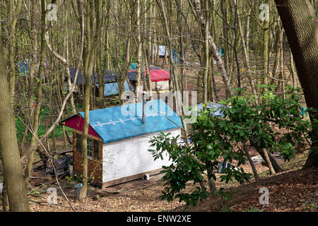 Das Eco Village in Runnymede Wald in einer Gemeinschaft von Menschen, die einen alternativen Lebensstil eingerichtet. Stockfoto