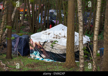 Das Eco Village in Runnymede Wald in einer Gemeinschaft von Menschen, die einen alternativen Lebensstil eingerichtet. Stockfoto