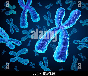 Chromosomen-Gruppe als ein Konzept für eine menschliche Biologie x Struktur mit Dna genetische Informationen als medizinische Symbol für Gen-Therapie oder Mikrobiologie-Genetik-Forschung. Stockfoto