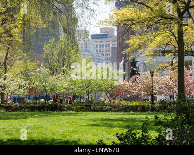 Frühling im Union Square Park, New York, USA Stockfoto