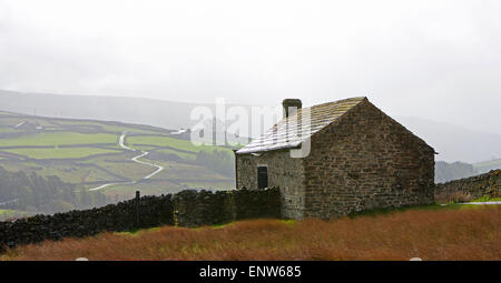 Scheune in Arkengarthdale, Yorkshire Dales National Park, North Yorkshire, England UK Stockfoto