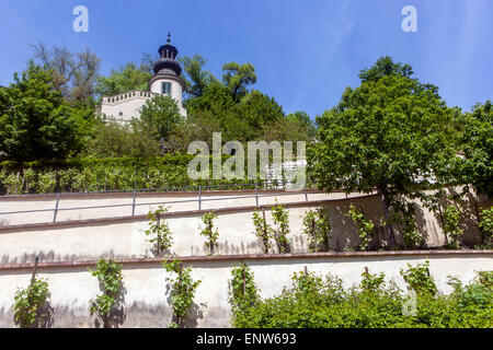 Romantische Fürstenberg Garten, den südlichen Hang des Prager Schloss, die Kleinseite, Tschechische Republik Stockfoto