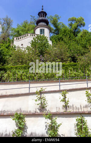 Romantischer Fürstenberg-Garten, der Südhang des Prager Schlosses Südgarten Mala Strana Tschechische Republik Stockfoto