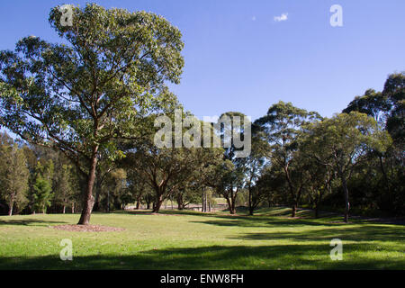 Sydney Park (Easton Road, Alexandria Seite). Bildnachweis: Richard Milnes/Alamy Stockfoto