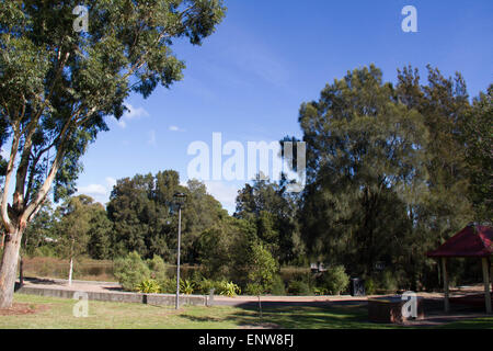 Sydney Park (Easton Road, Alexandria Seite). Bildnachweis: Richard Milnes/Alamy Stockfoto