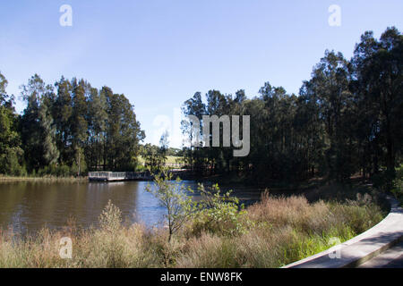 Sydney Park (Easton Road, Alexandria Seite). Bildnachweis: Richard Milnes/Alamy Stockfoto