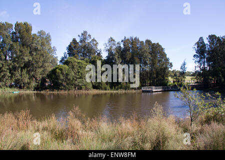 Sydney Park (Easton Road, Alexandria Seite). Bildnachweis: Richard Milnes/Alamy Stockfoto