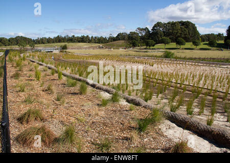 Sydney Park (Easton Road, Alexandria Seite). Bildnachweis: Richard Milnes/Alamy Stockfoto