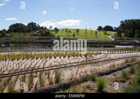 Sydney Park (Easton Road, Alexandria Seite). Bildnachweis: Richard Milnes/Alamy Stockfoto