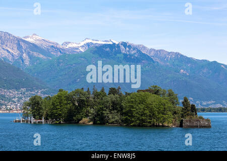 Isole di Brissago (Brissago-Inseln) und Schweizer Alpen im Hintergrund Stockfoto