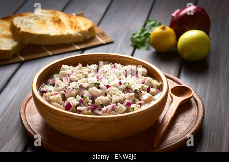 Chilenische Ceviche gemacht der südlichen Ray Brassen Fisch (lat. Brama Australis, Spanisch Reineta), Zwiebel, Knoblauch und Koriander mariniert Stockfoto