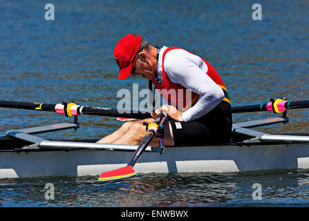 FISA 2014 World Masters Ruderregatta Stockfoto