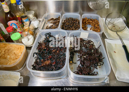 Vogelspinnen und Skorpione im Bug Cafe in Siem Reap, Kambodscha Stockfoto