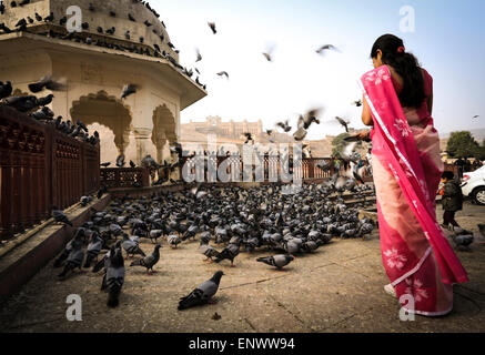 Eine Frau, die Tauben füttern, in der Nähe von Amber Fort in Jaipur, Indien, Dezember 2013 Stockfoto