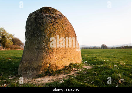 Vier Steinen, Walton, neue Radnor, Powys, Wales, UK. Eine frühe Bronzezeit Steinkreis, gesehen bei Sonnenuntergang Stockfoto