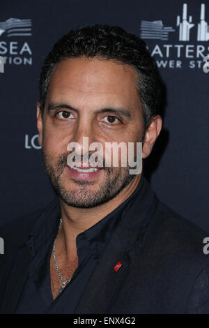 L.A.-Start von Frank Gerhy gestaltete Battersea Power Station Mitwirkende: Mauricio Umansky wo: West Hollywood, Kalifornien, Vereinigte Staaten, wann: 7. November 2014 Kredit: FayesVision/WENN.com Stockfoto