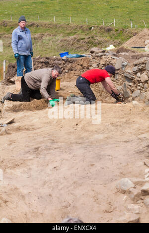 Aushubarbeiten in Whitesands Bay, Pembrokeshire Coast National Park, Wales, Großbritannien im Mai - Männer und Frauen mit Kelle Aushub Stockfoto