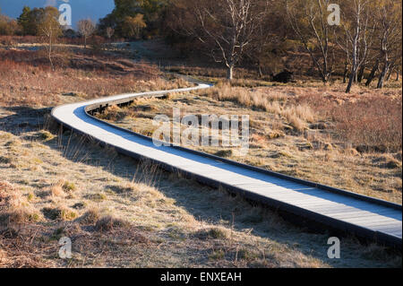 Borrowdale Strecke des Allerdale Streifzug und Cumbria Stockfoto