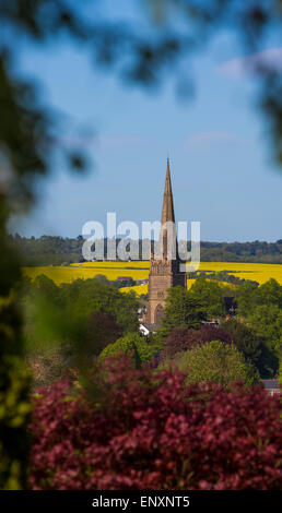 St. Johannes Kirche dominiert die Landschaft in der kleinen Stadt Bromsgrove in Worcestershire mit Feldern von Raps hinter Stockfoto